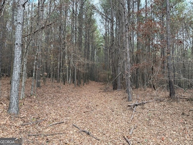 0 Branson Crossing Rd unit 2, Kingston, GA 30145 - photo 5