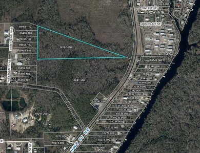 0 NE Hwy 51 unit MFROM709063, Steinhatchee, FL 32359 - photo 2