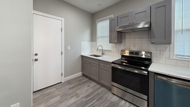 50 Lithgow St unit 3, Dorchester Center, MA 02124 - photo 5