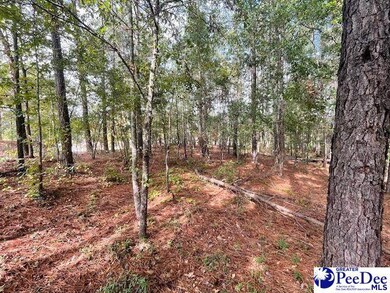 0 Center Point Rd, Chesterfield, SC 29709 - photo 3