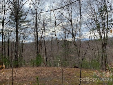 Lot 6 Theresa Terrace unit 6, Nebo, NC 28761 - photo 5