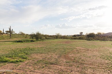 20230206-IMG_6607
