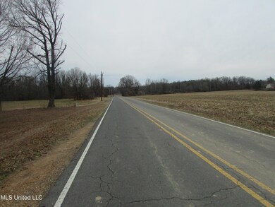 Street View (1)