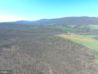 0 35 Acres Orchard Ln, Paw Paw, WV 25434 - photo 4