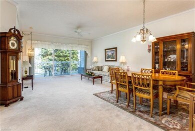 Open living and dining room area with beautiful cr