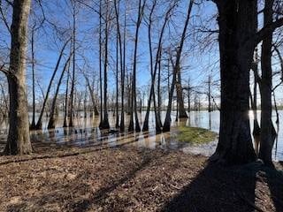 11720 Hideaway Rd, Mer Rouge, LA 71261 - photo 2