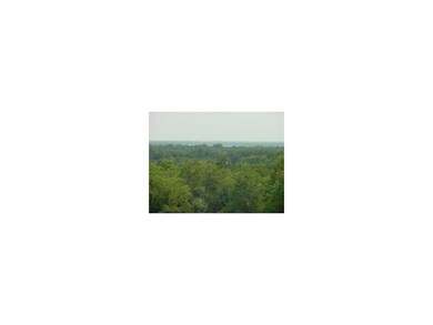 view from deck