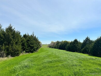 0 Highway 80, Gallion, AL 36732 - photo 5