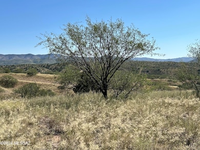 TBD Proctor Ln unit 4, Patagonia, AZ 85624 - photo 2