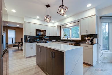 60 E Fabish Dr, Buffalo Grove, IL 60089 - photo 3