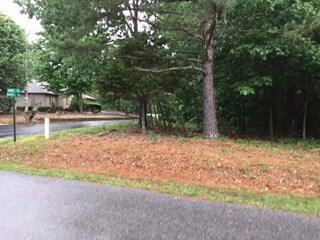 1 Dent Ln, Bella Vista, AR 72714 - photo 6