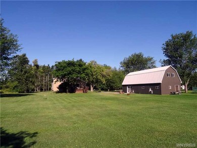 Yard.