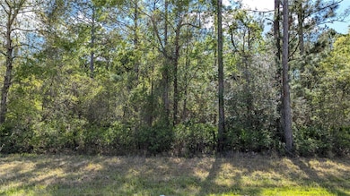 00 NE 108th Place, Waldo, FL 32694 - photo 6