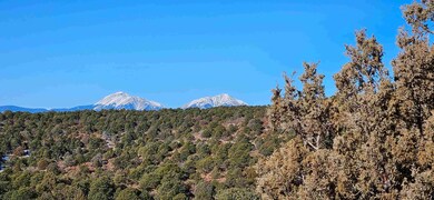 20231228_092547 (1)