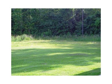 Land/Lot. Property goes just past the tree line in