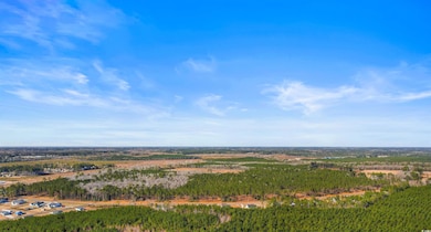 19.09 Acs Cates Bay Hwy unit Lot 11, Conway, SC 29527 - photo 6