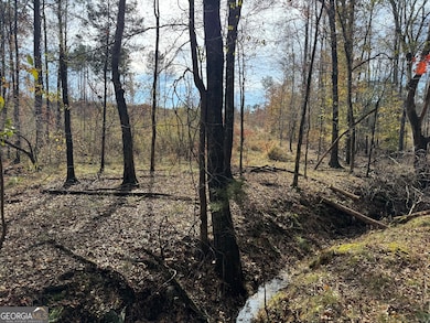 0 Old Middleton Rd unit 10651016, Elberton, GA 30635 - photo 2