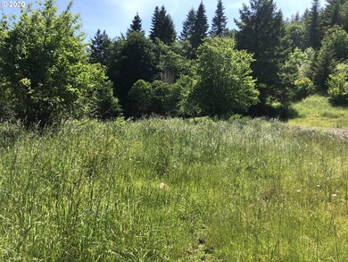 0 Lampa Ln, Myrtle Point, OR 97458 - photo 6