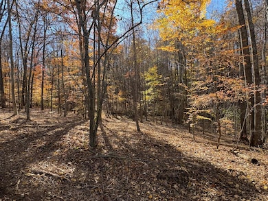 9-D Richmond Hwy, Amherst, VA 24521 - photo 4