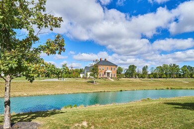Ox 6 accross pond