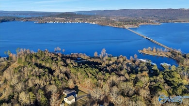 5.58 ac Rachel Rd, Langston, AL 35755 - photo 6