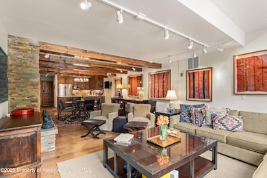 926 Waters Ave unit 203, Aspen, CO 81611 - photo 7