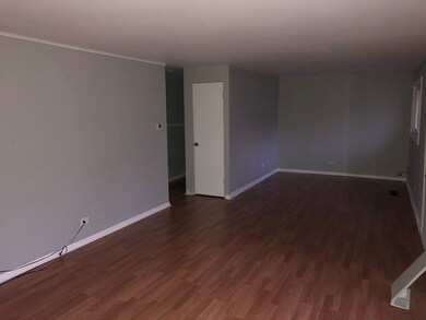 18030 Anthony Ave, Country Club Hills, IL 60478 - photo 4