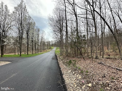 0 Timberlake Estates - Lot 24 unit WVMI2003320, New Creek, WV 26743 - photo 6