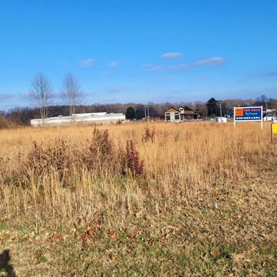 000 Town View Estates unit LOTS 1 & 2, Jamestown, KY 42629 - photo 2