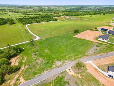 158 Hansma Way, Weatherford, TX 76087 - photo 6