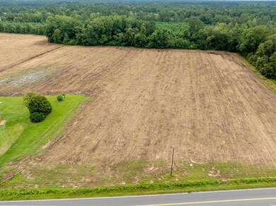TBD Lot B6 Mount Olive Church Rd, Nichols, SC 29581 - photo 5