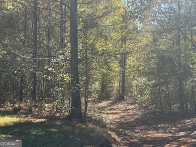 0 Perimeter Rd unit 10118660, Monticello, GA 31064 - photo 6