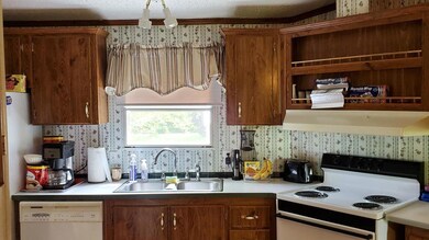 455 Perkins Dr, Burnside, KY 42519 - photo 5