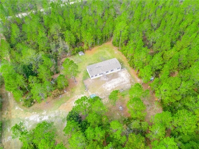 6911 Old Hortense Rd, Hortense, GA 31543 - photo 2