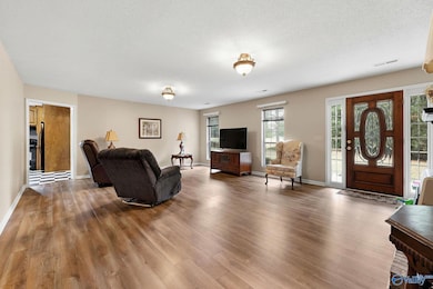 3876 Hog Jaw Rd, Joppa, AL 35087 - photo 4