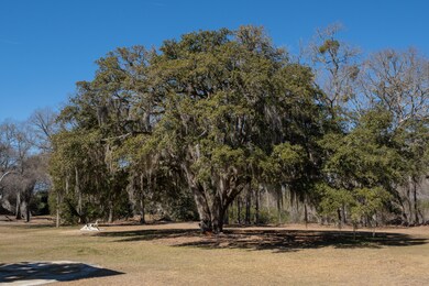 Hazelhurst-45