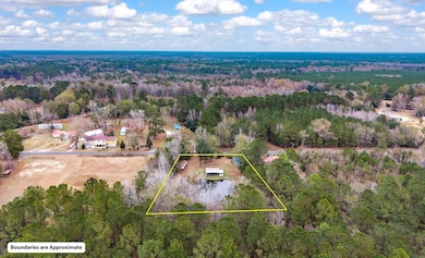 372 Saxby Hill Rd, Walterboro, SC 29488 - photo 3