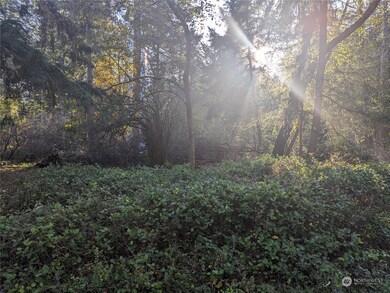 10614 Suncrest Dr, Anderson Island, WA 98303 - photo 3