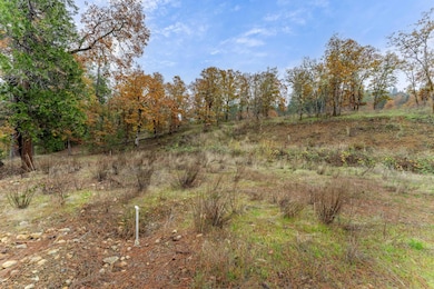 1700 Abegg Rd, Merlin, OR 97532 - photo 7