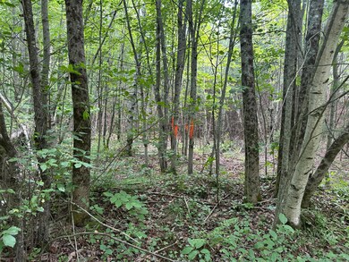 M40 L13-7 Mallard Rd, Madison, ME 04950 - photo 6