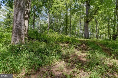 0 N Otter Creek Rd unit VABV2000242, Bedford, VA 24523 - photo 6