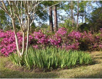 Photo. Simpson Creek is lushly landscaped with aza