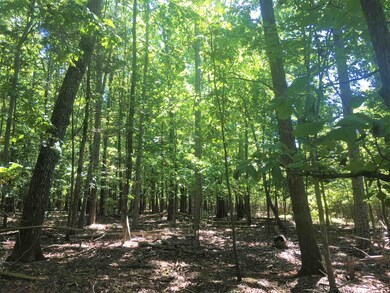 000 W Third St, Siler City, NC 27344 - photo 6