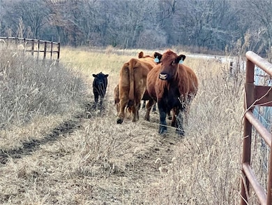 0 Ee Hwy unit HMS2587799, Richmond, MO 64085 - photo 4