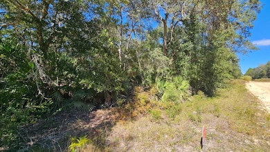 0 Neilsen Ave unit 25581217, Interlachen, FL 32148 - photo 7