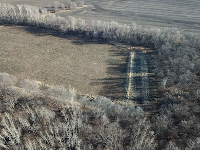 Tbd County Highway 1, Fertile, MN 56540 - photo 7
