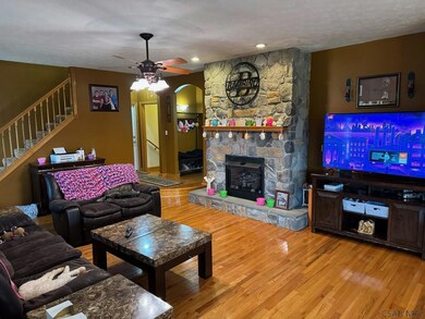 Propane Fireplace