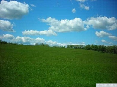 View from to top of property from Skunks Misery