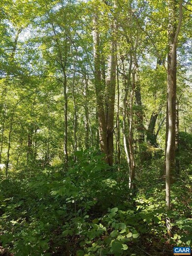 0 Dudley Mountain Rd, North Garden, VA 22959 - photo 2