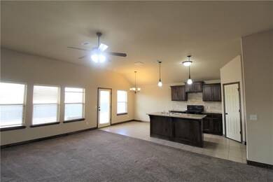 4402 Hawk Owl Dr, Norman, OK 73072 - photo 4